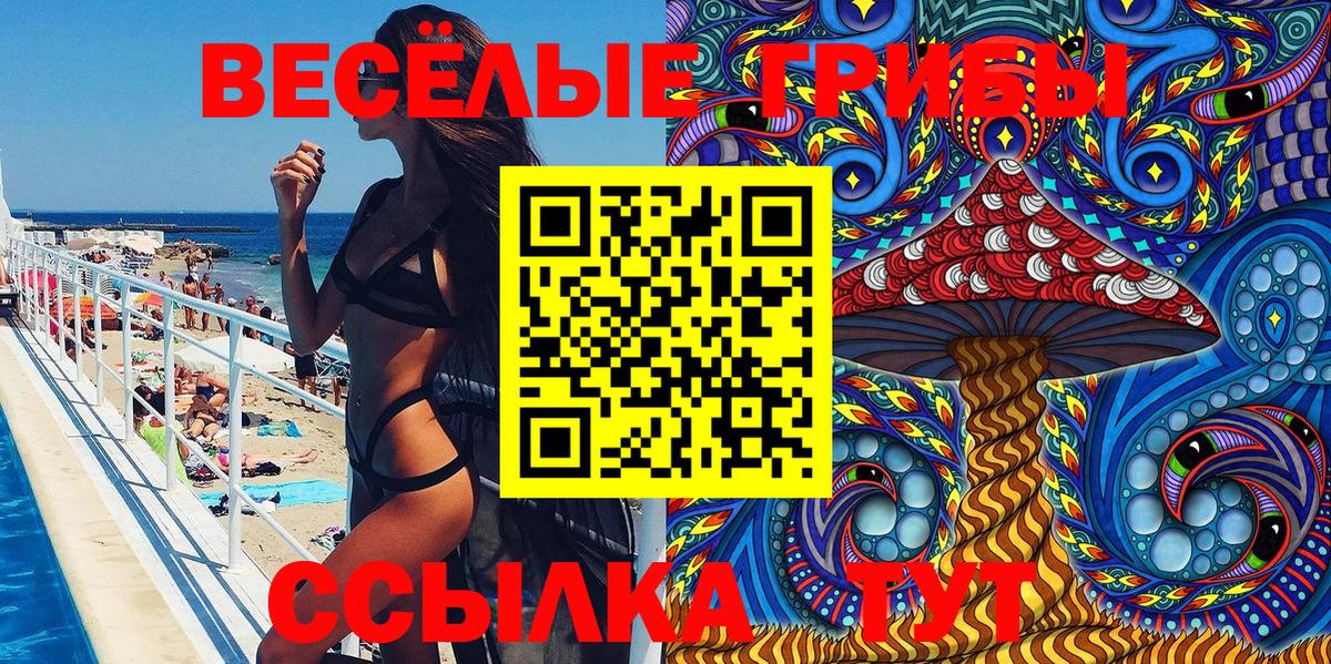 Галлюциногенные грибы мицелий  Вход с VPN  Усть-Джегута  Псилоцибиновые грибы Psilocybe 